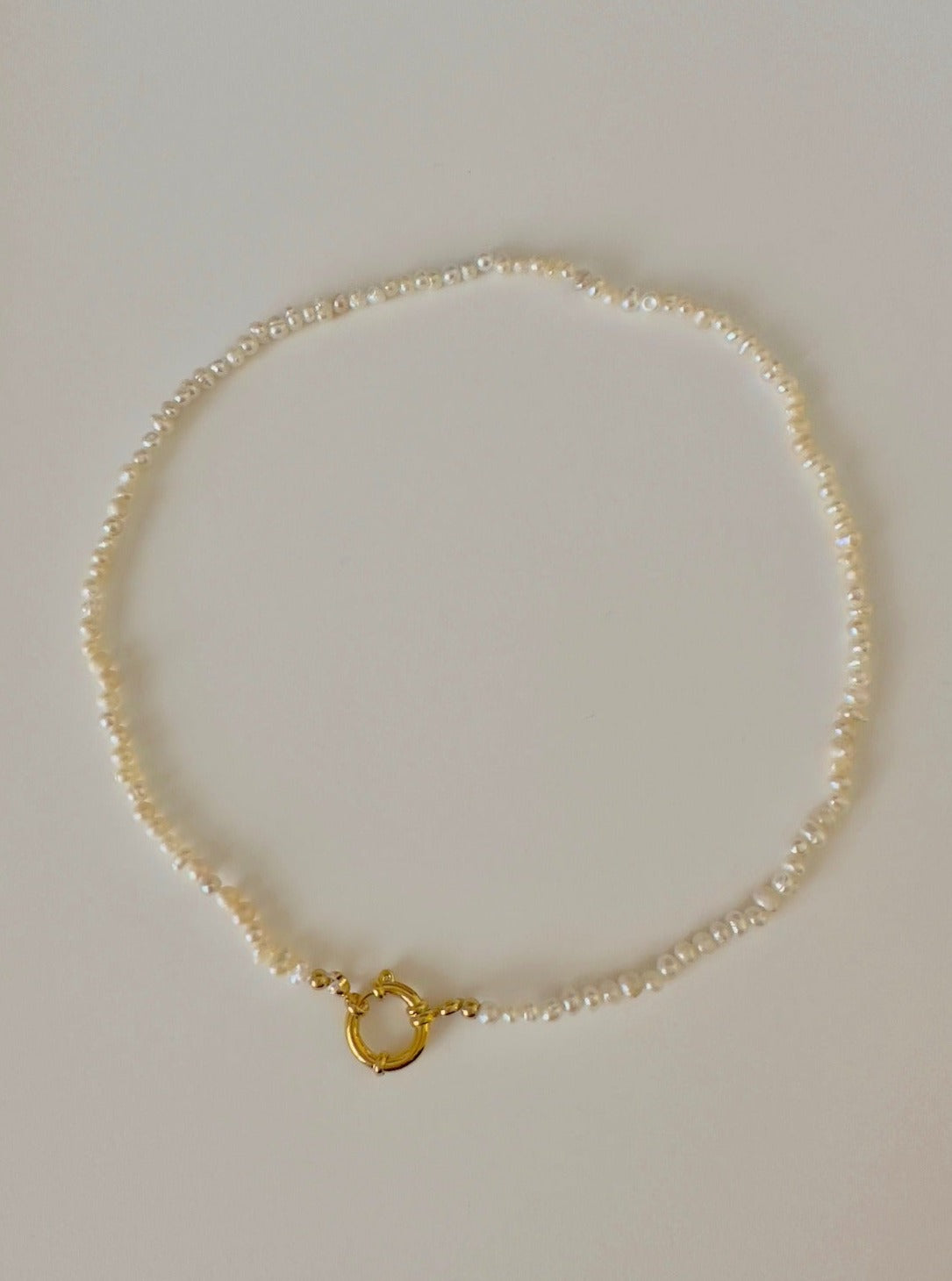Olivia Choker