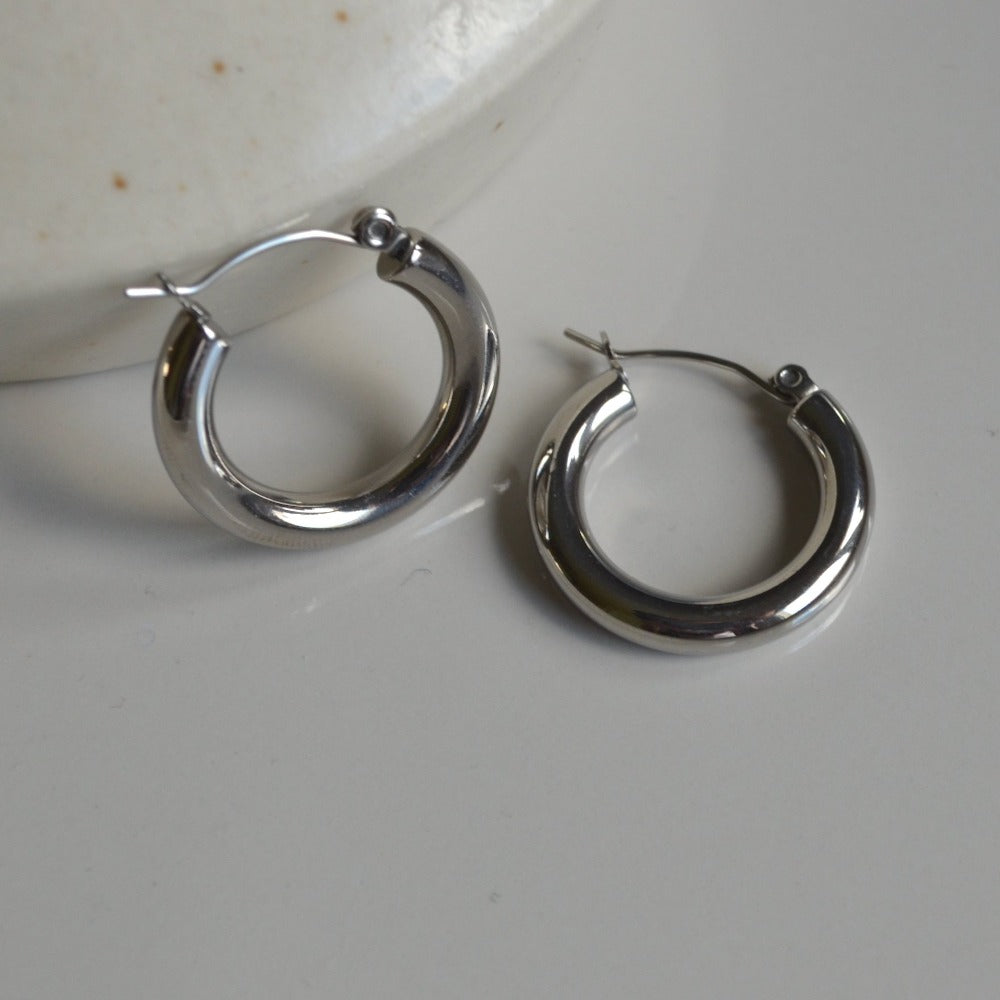 Dione Silver Earrings