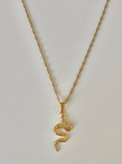 Asclepius Necklace