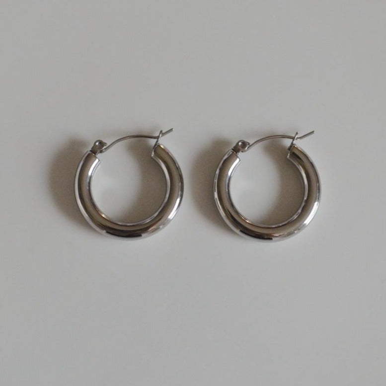 Dione Silver Earrings